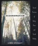 Ecoshamanism: Sacred Practices of Unity, Power and Earth Healing by James Endredy