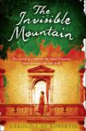 Cover image of book The Invisible Mountain by Carolina De Robertis 