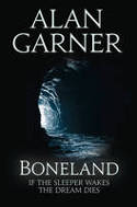 Cover image of book Boneland by Alan Garner