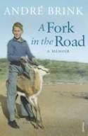 Cover image of book A Fork in the Road by Andr� Brink