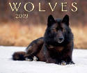 Cover image of book Wolves 2019 Calendar by Various photographers