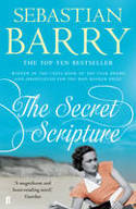 Cover image of book The Secret Scripture by Sebastian Barry