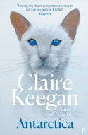 Cover image of book Antarctica by Claire Keegan