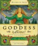 Goddess Alive: Inviting Celtic and Norse Goddesses into Your Life by Michelle Skye