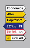 Cover image of book Economics After Capitalism: A Guide to the Ruins and a Road to the Future by Derek Wall