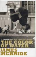 Cover image of book The Color of Water: A Black Man
