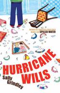 Hurricane Wills by Sally Grindley