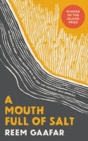 Cover image of book A Mouth Full of Salt by Reem Gaafar 