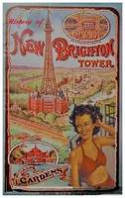 Cover image of book The History of New Brighton Tower by Roy Dutton 