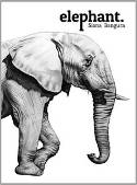 Cover image of book Elephant by Siana Bangura