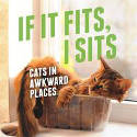 Cover image of book If It Fits, I Sits by Various authors