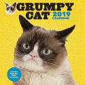 Cover image of book Grumpy Cat 2019 Wall Calendar by Grumpy Cat