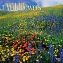 Wildflowers 2015 Calendar by Anon