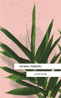 Cover image of book Evening Primrose by Kopano Matlwa 