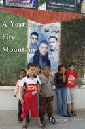 Cover image of book A Year on Fire Mountain: An Occupation Diary by Anna Habibti