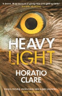 Cover image of book Heavy Light: A Journey Through Madness, Mania and Healing by Horatio Clare