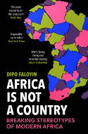 Cover image of book Africa Is Not A Country: Breaking Stereotypes of Modern Africa by Dipo Faloyin 