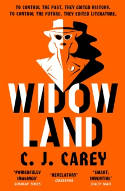 Cover image of book Widowland by C J Carey
