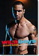 Cover image of book Wild Boys: Gay Erotic Fiction by Richard Labont� (Editor)