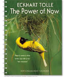Eckhart Tolle: The Power of Now 2015 Diary by Eckhart Tolle