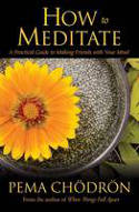 Cover image of book How to Meditate: A Practical Guide to Making Friends with Your Mind by Pema Chodron