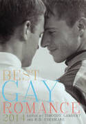 Cover image of book Best Gay Romance 2014 by Timothy J. Lambert and R. D. Cochrane (Editors)