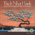 Thich Nhat Hanh 2017 Wall Calendar by Thich Nhat Hanh, with paintings by Nicholas Kirste