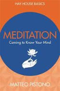 Cover image of book Meditation: Coming to Know Your Mind by Matteo Pistono 