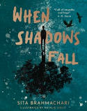 Cover image of book When Shadows Fall by Sita Brahmachari, illustrated by Natalie Sirett