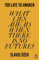Cover image of book Too Late to Awaken: What Lies Ahead When There is No Future? by Slavoj Zizek