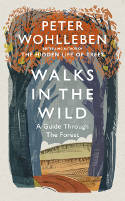 Cover image of book Walks in the Wild: A Guide Through the Forest by Peter Wohlleben