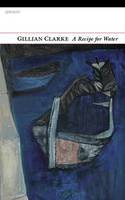 Cover image of book A Recipe for Water by Gillian Clarke