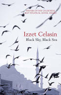 Cover image of book Black Sky, Black Sea by Izzet Celasin