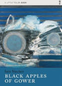 Cover image of book Black Apples of Gower by Iain Sinclair