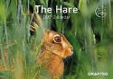 Cover image of book The Hare 2017 Wall Calendar by Graffeg Limited