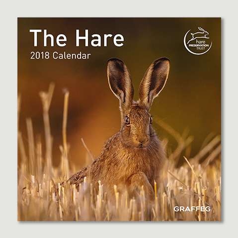 Cover image of book The Hare: 2018 Mini Wall Calendar by The Hare Preservation Trust