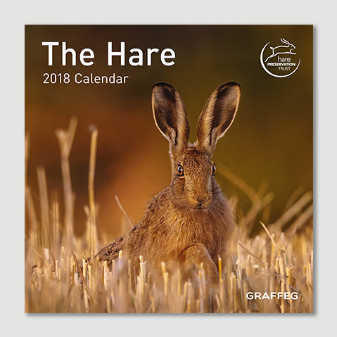 Cover image of book The Hare: 2018 Mini Wall Calendar by The Hare Preservation Trust