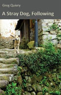 Cover image of book A Stray Dog, Following by Greg Quiery