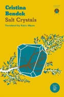 Cover image of book Salt Crystals by Cristina Bendek 