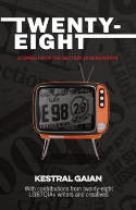 Cover image of book Twenty-Eight: Stories from the Section 28 Generation by Kestral Gaian 
