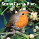 Cover image of book British Garden Birds 2019 Wall Calendar by BrownTrout Publishers