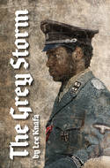 Cover image of book The Grey Storm by Lee Knafa