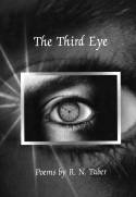 Cover image of book The Third Eye by R. N. Taber