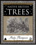 Cover image of book Native British Trees by Andy Thompson 