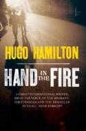 Cover image of book Hand in the Fire by Hugo Hamilton