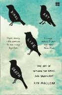 Cover image of book Birds Art Life: The Art of Noticing the Small and Significant by Kyo Maclear