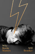 Cover image of book Why Bowie Matters by Will Brooker 