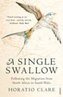 Cover image of book A Single Swallow: Following the Migration from South Africa to South Wales by Horatio Clare