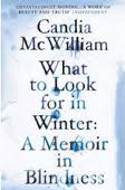 Cover image of book What to Look for in Winter by Candia McWilliam 