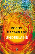 Cover image of book Underland: A Deep Time Journey by Robert Macfarlane
